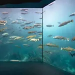 Διαμέρισμα Near Center / Free P *