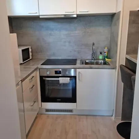 Apartment Near Center / Free P