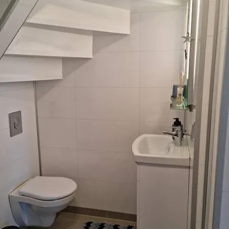 Apartment Near Center / Free P *