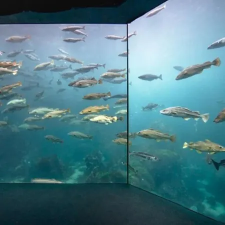 Apartment Near Center / Free P *