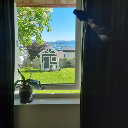 Near Center / Free P Apartment *